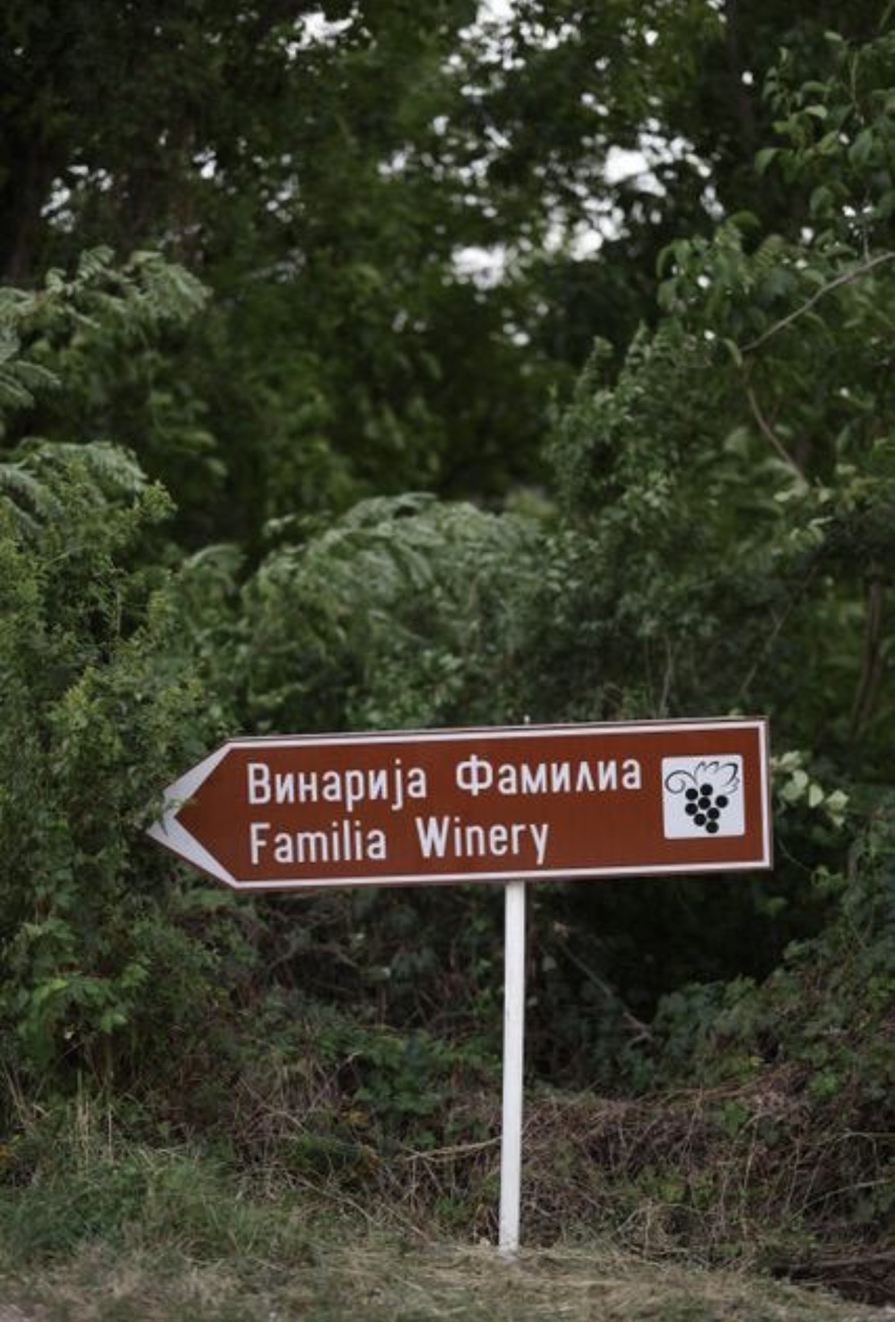 FOTO: Privatna arhiva