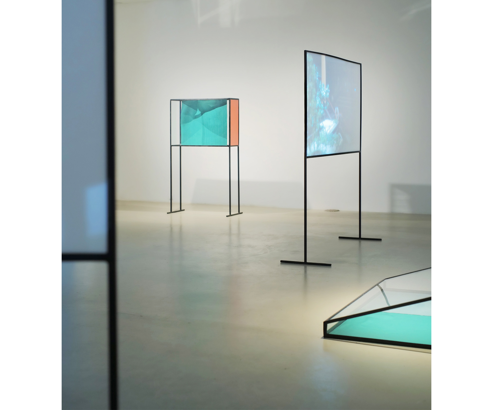 FOTO: Ivan Marković