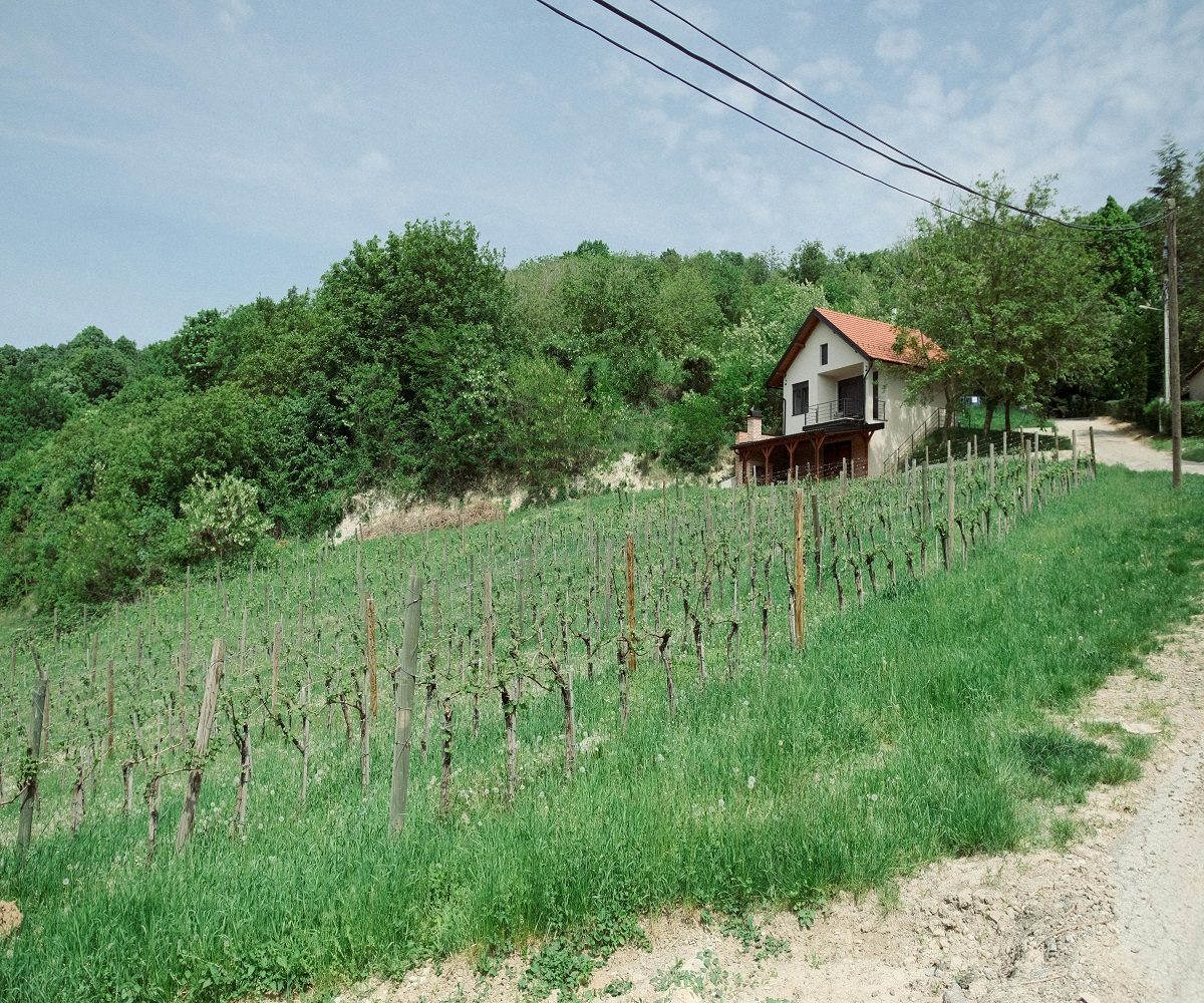 Fruška gora FOTO: Unsplash