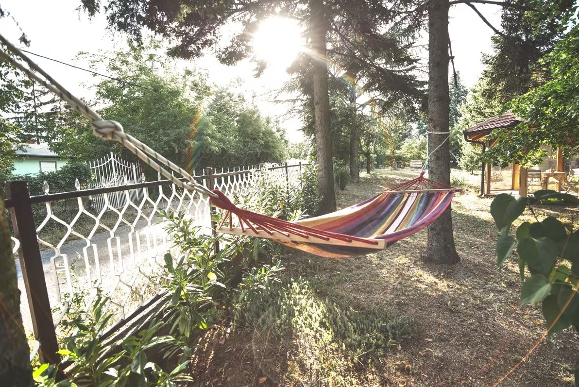 FOTO: Privatna arhiva