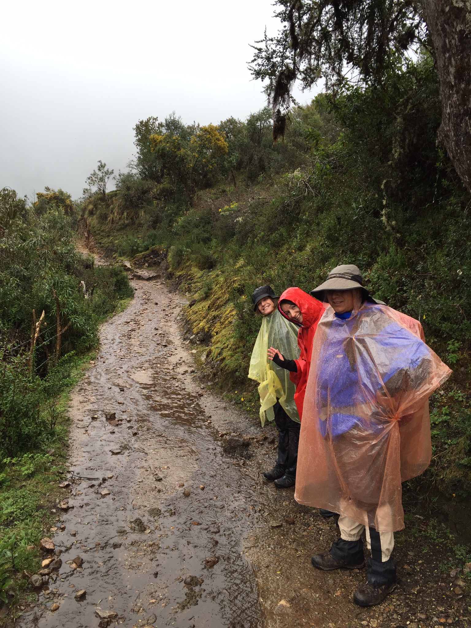 Bojana Bles na putu za Maču Pikču FOTO: Privatna arhiva