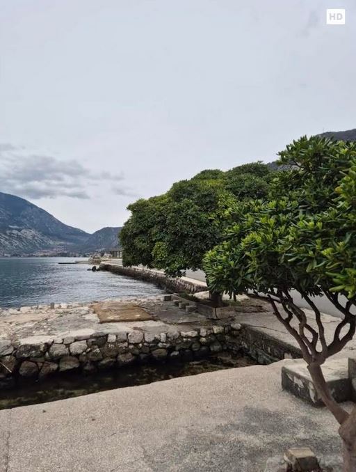 FOTO: Nikša Stančić