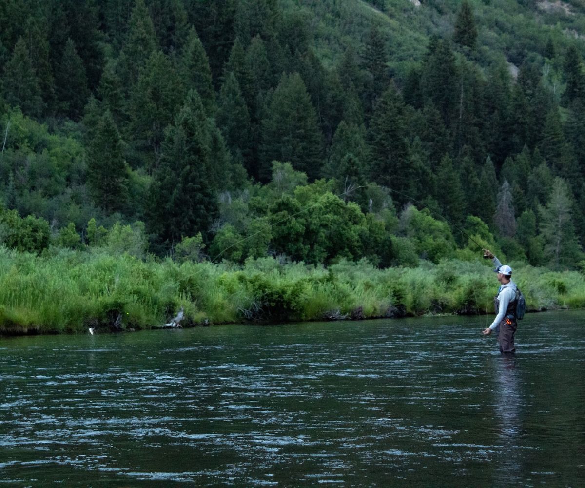 Fly Fishing FOTO: Privatna arhiva