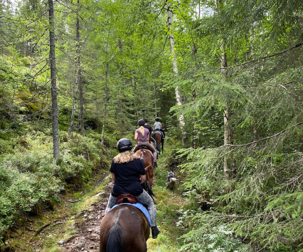 Jahanje FOTO: Privatna arhiva